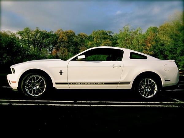 2005-2009 S-197 Gen 1 Performance White Mustang Picture Gallery-544392_10101528167447069_8809321_67736781_1136334314_n.jpg