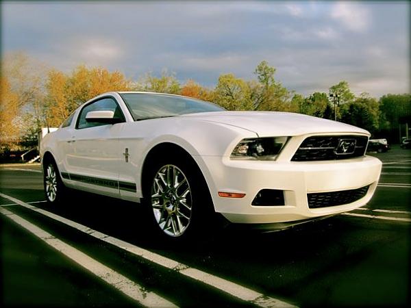 2005-2009 S-197 Gen 1 Performance White Mustang Picture Gallery-398883_10101528167486989_8809321_67736782_1810482372_n.jpg