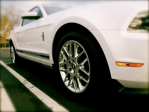 2005-2009 S-197 Gen 1 Performance White Mustang Picture Gallery-545773_10101528167506949_8809321_67736783_1108914677_n.jpg