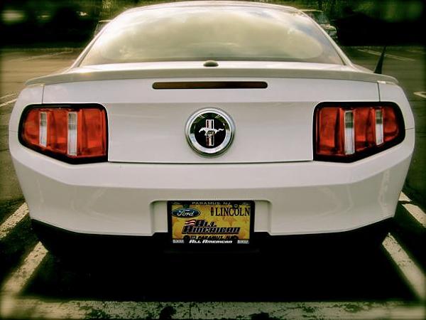 2005-2009 S-197 Gen 1 Performance White Mustang Picture Gallery-559499_10101528167561839_8809321_67736784_2080218980_n.jpg