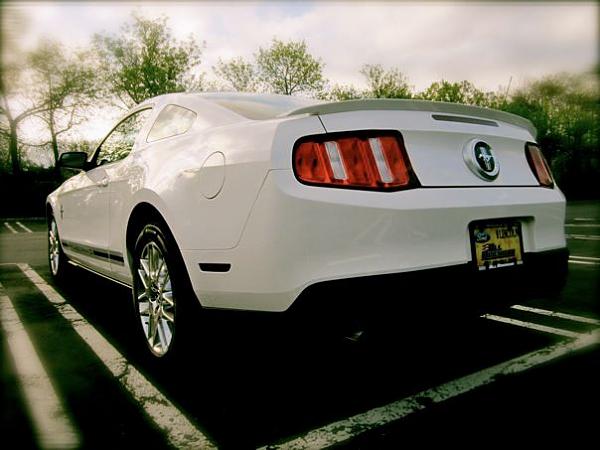 2005-2009 S-197 Gen 1 Performance White Mustang Picture Gallery-154429_10101528167596769_8809321_67736785_1040259217_n.jpg