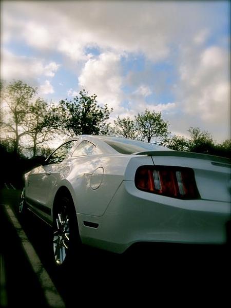 2005-2009 S-197 Gen 1 Performance White Mustang Picture Gallery-156465_10101528167636689_8809321_67736786_1749766406_n.jpg