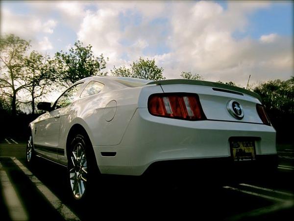 2005-2009 S-197 Gen 1 Performance White Mustang Picture Gallery-521629_10101528167666629_8809321_67736787_1187643722_n.jpg