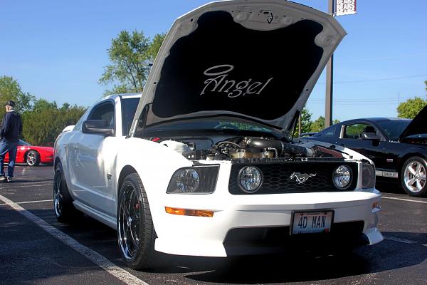 2005-2009 S-197 Gen 1 Performance White Mustang Picture Gallery-4-21-12show.jpg