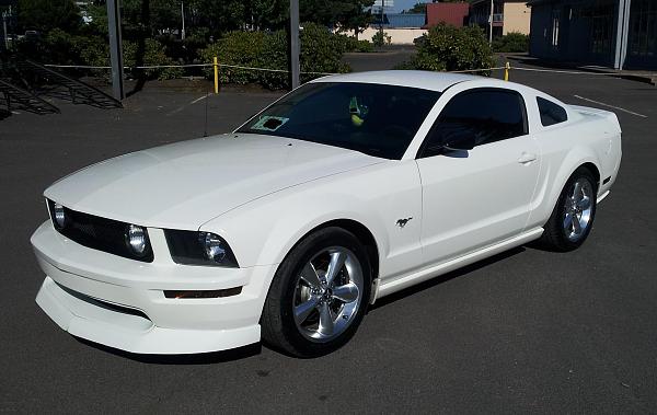 2005-2009 S-197 Gen 1 Performance White Mustang Picture Gallery-c2.jpg