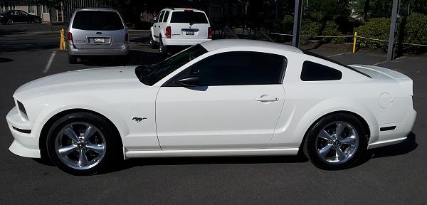 2005-2009 S-197 Gen 1 Performance White Mustang Picture Gallery-c3.jpg