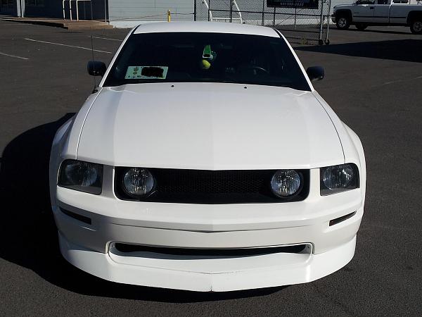 2005-2009 S-197 Gen 1 Performance White Mustang Picture Gallery-c10.jpg