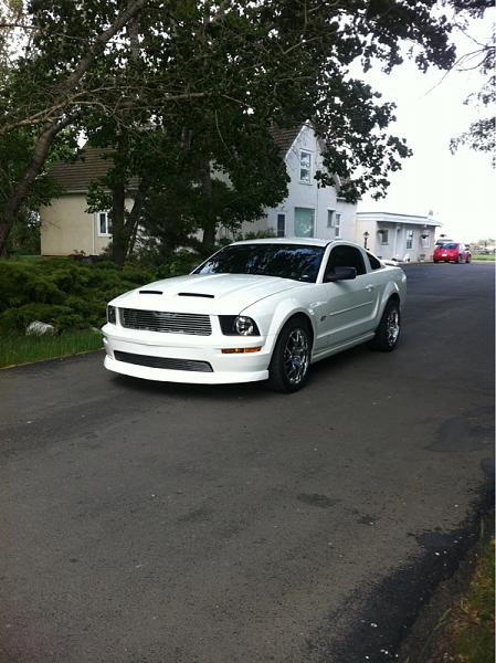 2005-2009 S-197 Gen 1 Performance White Mustang Picture Gallery-image-690141178.jpg