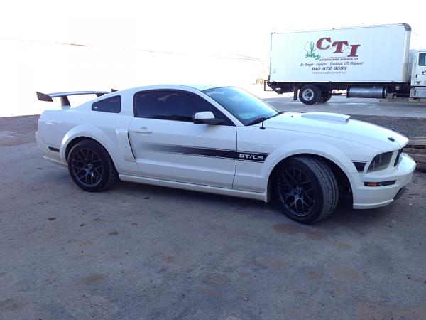 2005-2009 S-197 Gen 1 Performance White Mustang Picture Gallery-image-478645662.jpg