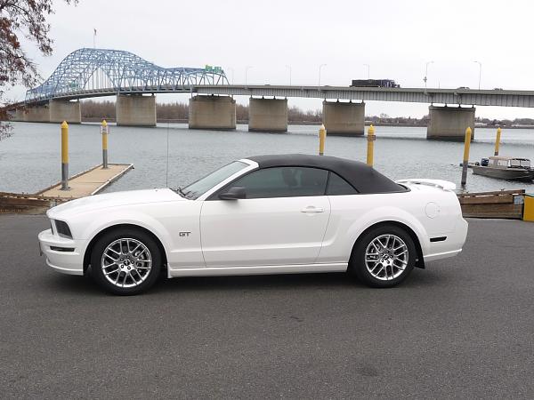 2005-2009 S-197 Gen 1 Performance White Mustang Picture Gallery-p1040430-copy.jpg