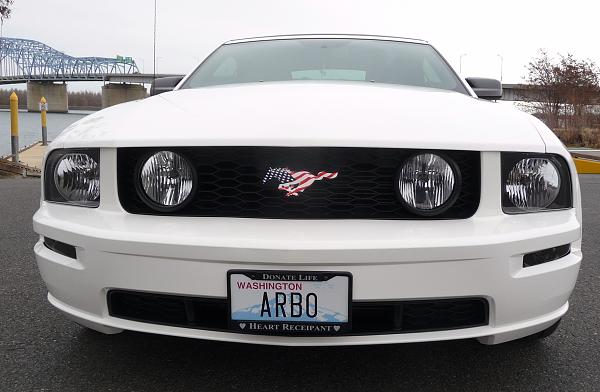 2005-2009 S-197 Gen 1 Performance White Mustang Picture Gallery-grill-pony-2.jpg