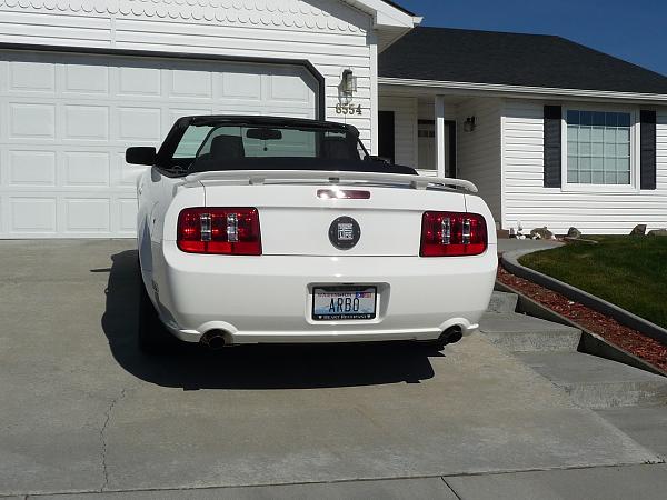2005-2009 S-197 Gen 1 Performance White Mustang Picture Gallery-rear-house.jpg