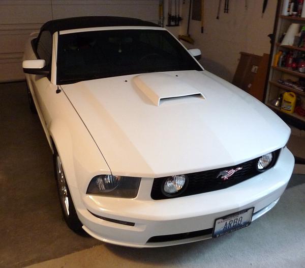 2005-2009 S-197 Gen 1 Performance White Mustang Picture Gallery-scoop-done.jpg