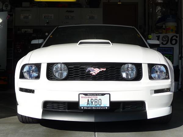 2005-2009 S-197 Gen 1 Performance White Mustang Picture Gallery-chin-sp-1.jpg
