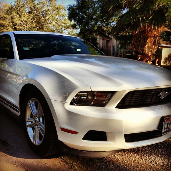2005-2009 S-197 Gen 1 Performance White Mustang Picture Gallery-image-372387586.jpg