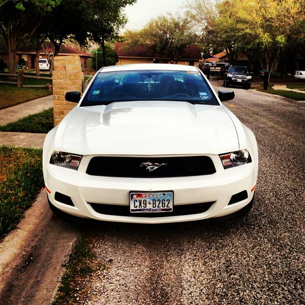 2005-2009 S-197 Gen 1 Performance White Mustang Picture Gallery-image-667670149.jpg