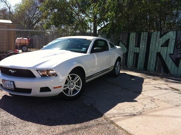 2005-2009 S-197 Gen 1 Performance White Mustang Picture Gallery-image-2359160813.jpg