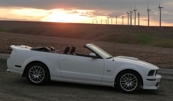 2005-2009 S-197 Gen 1 Performance White Mustang Picture Gallery-sunset-copy.jpg