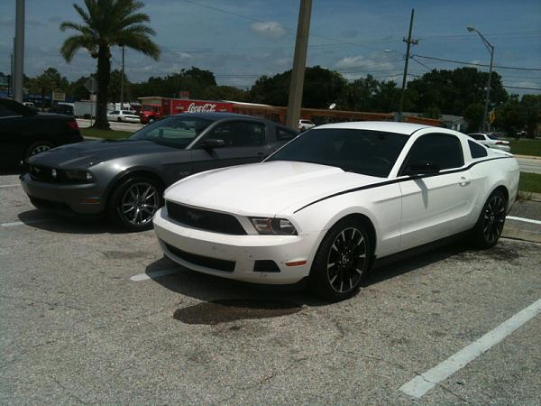 2005-2009 S-197 Gen 1 Performance White Mustang Picture Gallery-image-4114635329.jpg