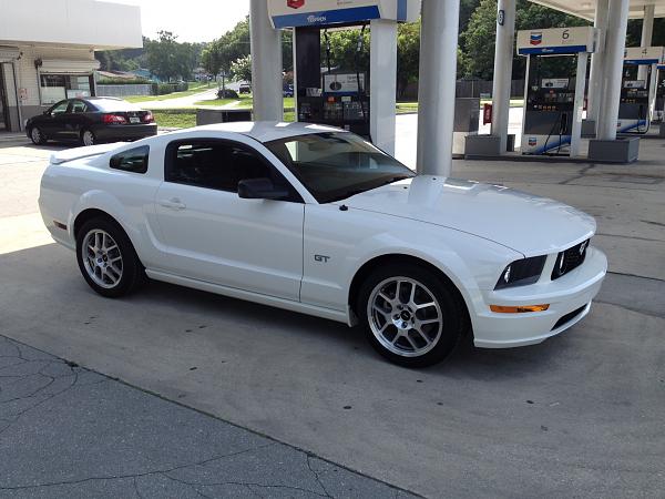 2005-2009 S-197 Gen 1 Performance White Mustang Picture Gallery-photo.jpg