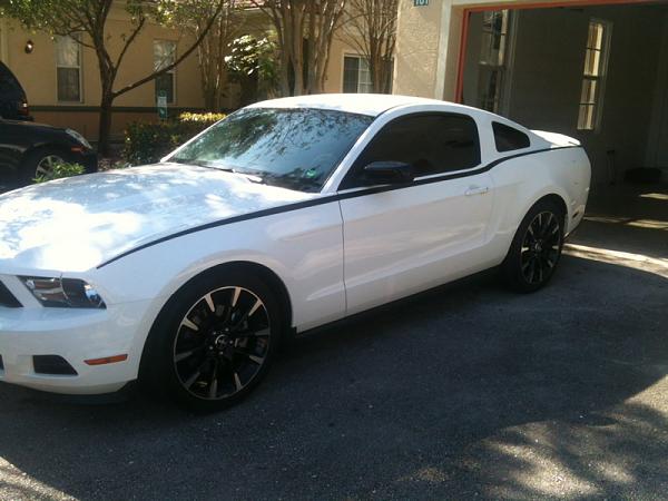 2005-2009 S-197 Gen 1 Performance White Mustang Picture Gallery-image-3180174465.jpg