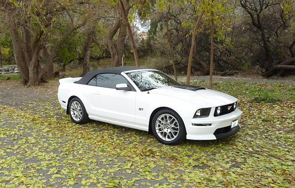 2005-2009 S-197 Gen 1 Performance White Mustang Picture Gallery-p1040914.jpg