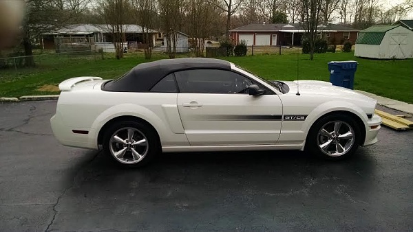 2005-2009 S-197 Gen 1 Performance White Mustang Picture Gallery-d91a921f_f223_4e99_bd33_9f3fb47a74e9_b53a5fba022fccff528f48c970b81ec99adf341f.jpg