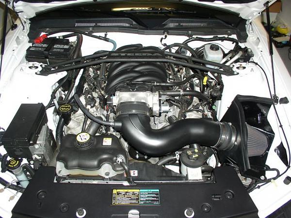 2005-2009 S-197 Gen 1 Performance White Mustang Picture Gallery-06-09-25-02b.jpg