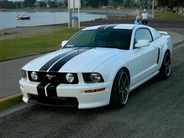 2005-2009 S-197 Gen 1 Performance White Mustang Picture Gallery-07gtcs2.jpg