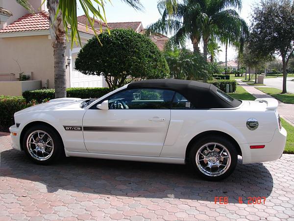 2005-2009 S-197 Gen 1 Performance White Mustang Picture Gallery*-dsc00483.jpg
