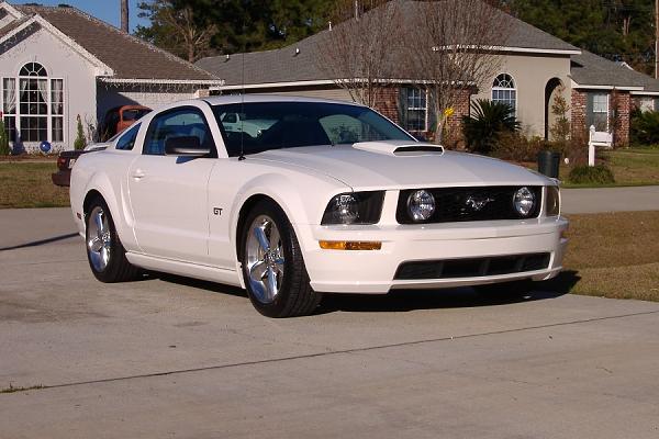 2005-2009 S-197 Gen 1 Performance White Mustang Picture Gallery*-mustang-9.jpg