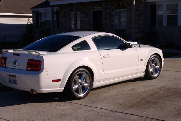 2005-2009 S-197 Gen 1 Performance White Mustang Picture Gallery*-mustang-8.jpg