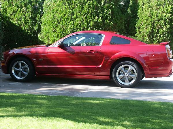 2005-2009 S-197 Gen 1 Performance White Mustang Picture Gallery*-26.b.jpg