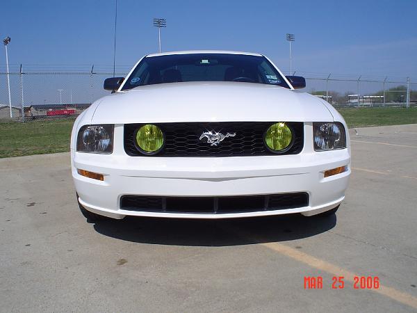 2005-2009 S-197 Gen 1 Performance White Mustang Picture Gallery*-07-yellow-1734.jpg