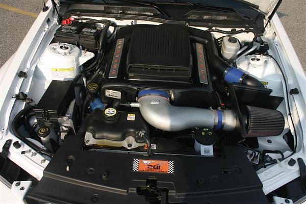 2005-2009 S-197 Gen 1 Performance White Mustang Picture Gallery*-img_0049-medium-.jpg