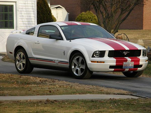 2005-2009 S-197 Gen 1 Performance White Mustang Picture Gallery*-mustangafter-010small.jpg