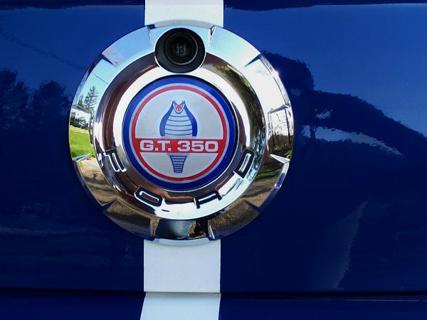 2005-2009 S-197 Gen 1 Performance White Mustang Picture Gallery*-gt350-cap.jpg