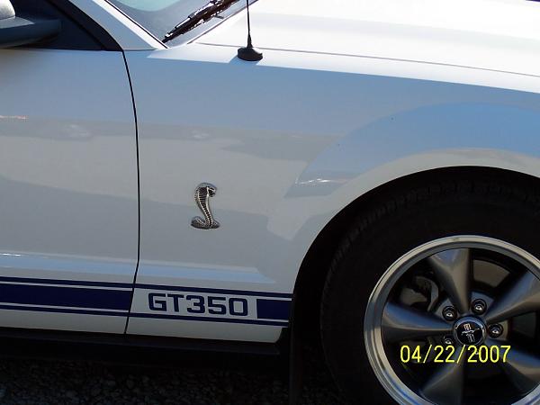 2005-2009 S-197 Gen 1 Performance White Mustang Picture Gallery*-snake.jpg