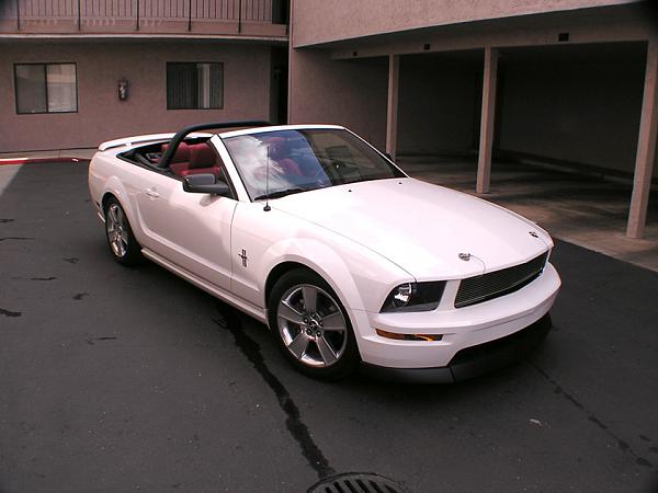 2005-2009 S-197 Gen 1 Performance White Mustang Picture Gallery-pa150005-sm.jpg