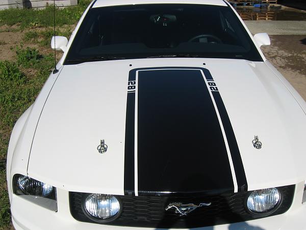 2005-2009 S-197 Gen 1 Performance White Mustang Picture Gallery-img_1648.jpg