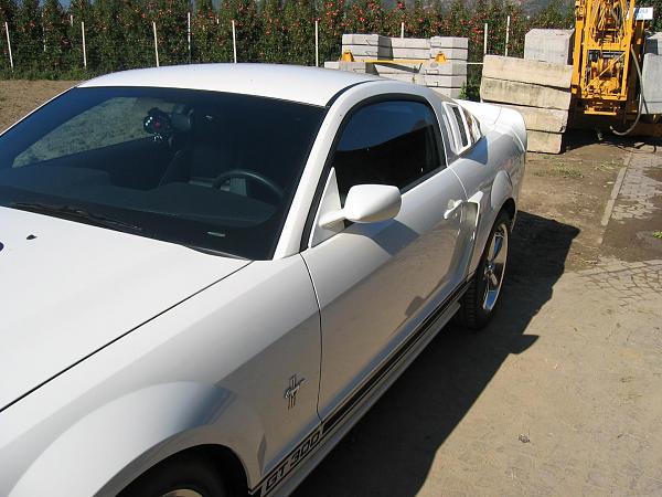 2005-2009 S-197 Gen 1 Performance White Mustang Picture Gallery-img_1652.jpg