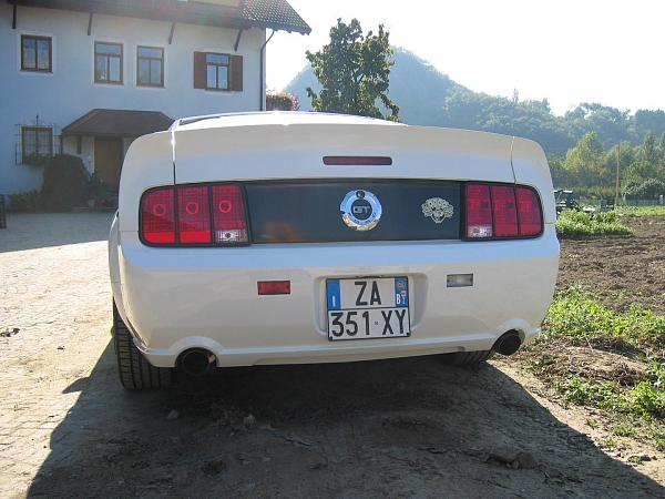 2005-2009 S-197 Gen 1 Performance White Mustang Picture Gallery-img_1653.jpg