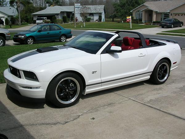 White Stangs With Black Rims-tomnow.jpg