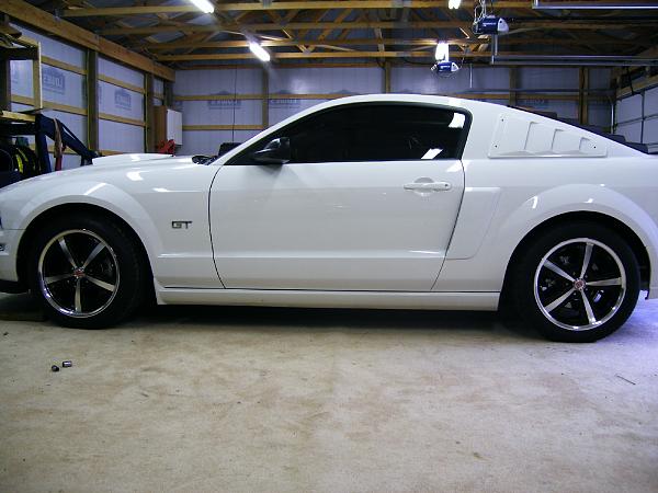 2005-2009 S-197 Gen 1 Performance White Mustang Picture Gallery-mustang-louver.jpg