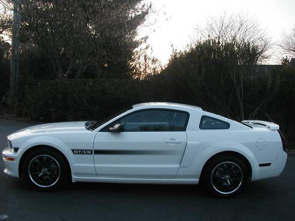 2005-2009 S-197 Gen 1 Performance White Mustang Picture Gallery-gtcs2.jpg