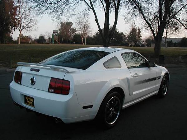 2005-2009 S-197 Gen 1 Performance White Mustang Picture Gallery-gtcs5.jpg