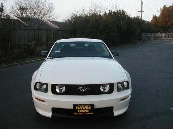 2005-2009 S-197 Gen 1 Performance White Mustang Picture Gallery-gtcs8.jpg