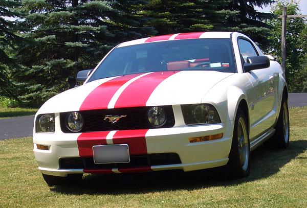 2005-2009 S-197 Gen 1 Performance White Mustang Picture Gallery-1.jpg