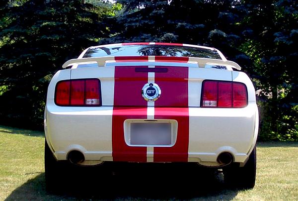 2005-2009 S-197 Gen 1 Performance White Mustang Picture Gallery-3.jpg