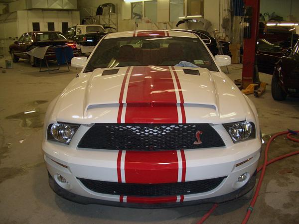 2005-2009 S-197 Gen 1 Performance White Mustang Picture Gallery-ukstang_1.jpg